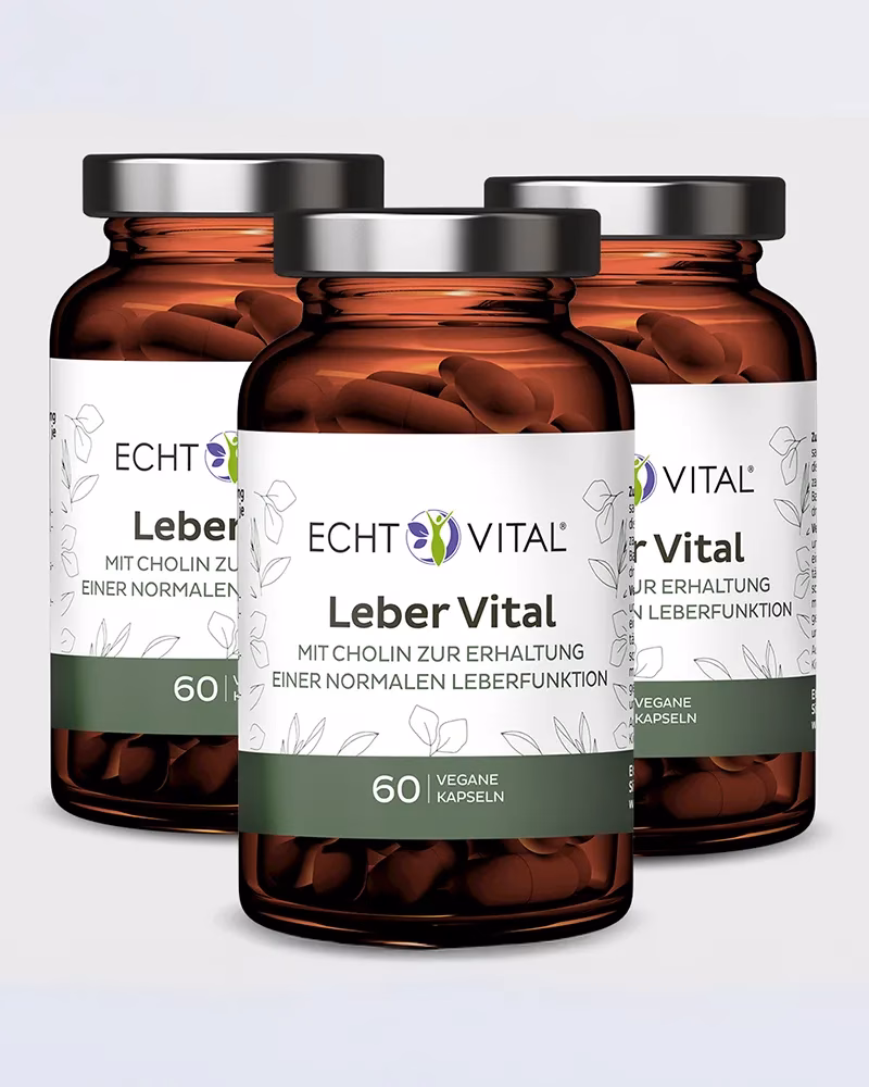 Leber Vital 180 Kapseln