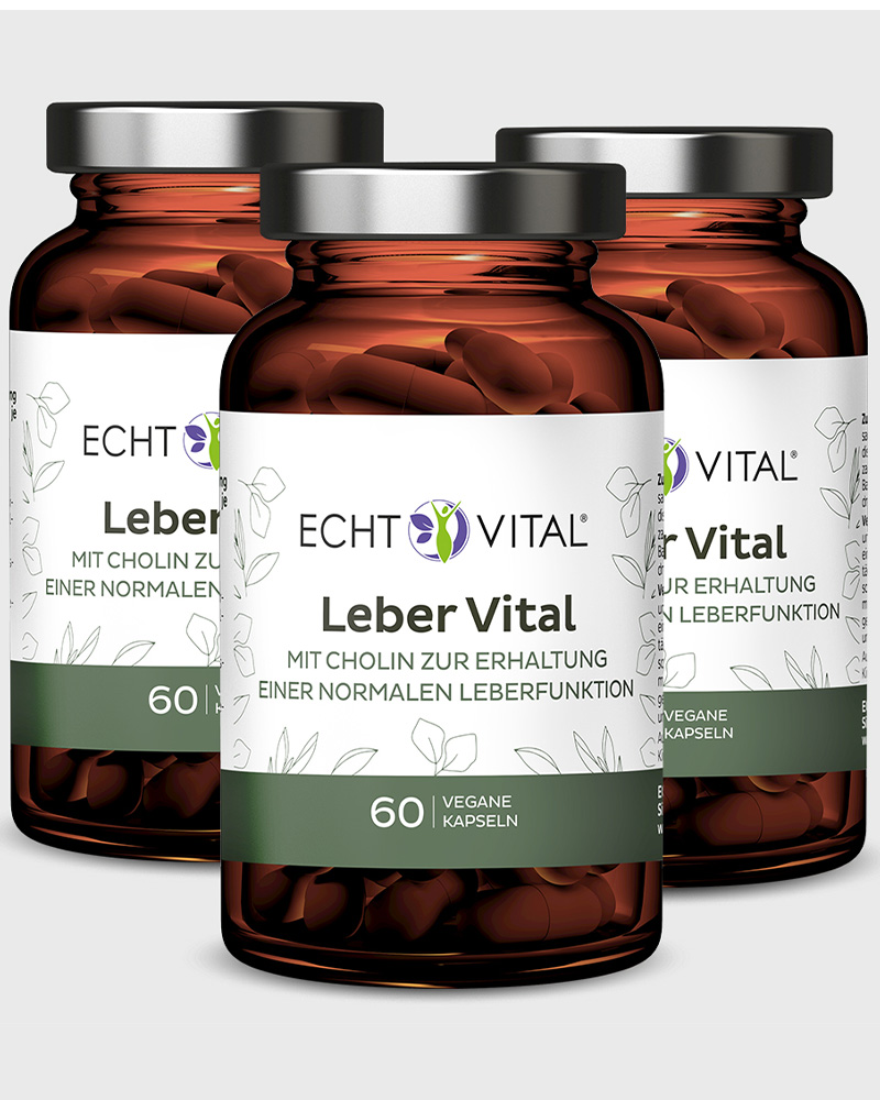 Leber Vital 180 Kapseln